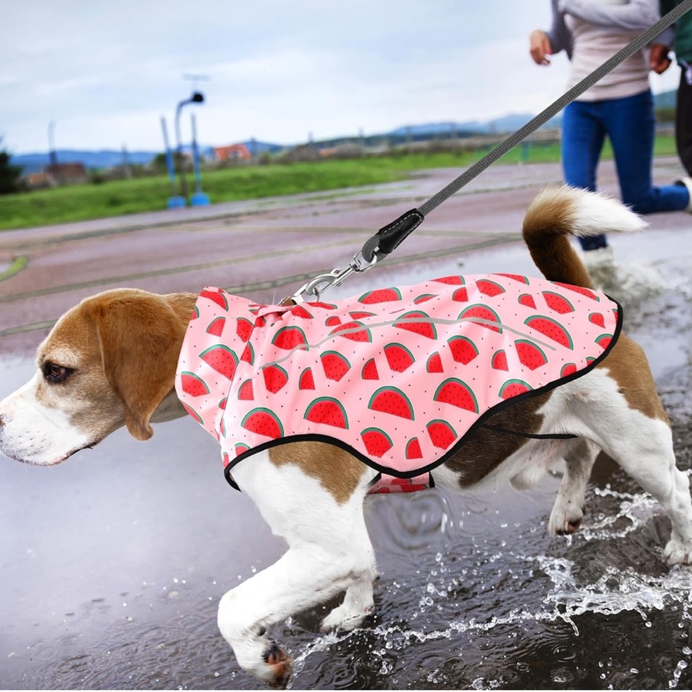 *New* Dog Raincoat, Pink Watermelon, XS/XXS